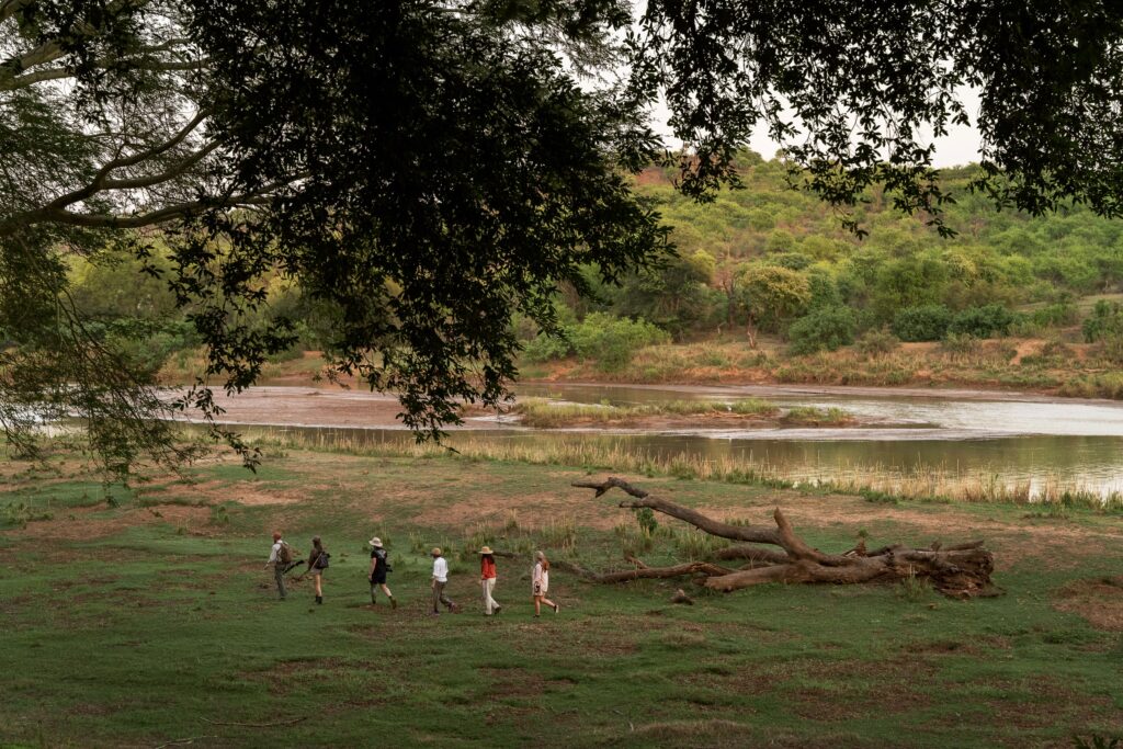 Wilderness Walks | Wellness Retreat Kruger Park | Sashwa River of Stars